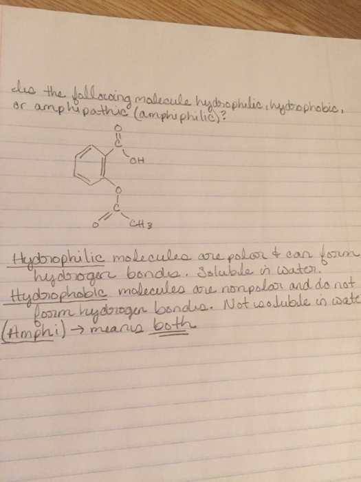 Solved eles the following molecule hydrophilic, | Chegg.com