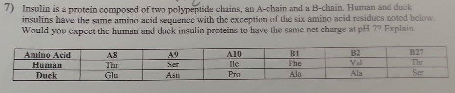 Solved Insulin Is A Protein Composed Of Two Polypeptide | Chegg.com