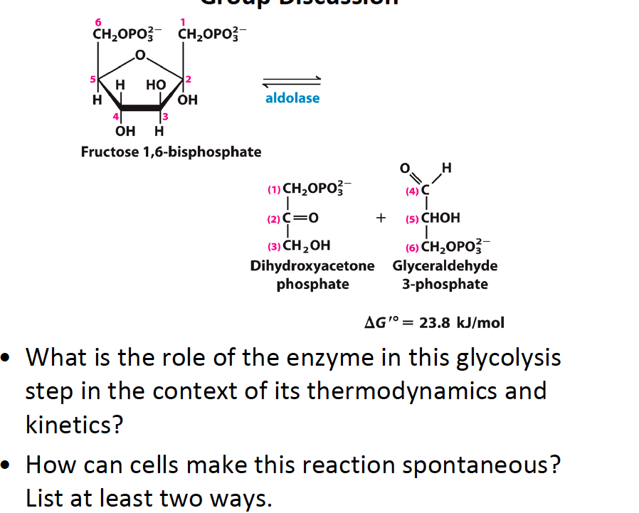 Fructose 1 6 Bisphosphate To Glyceraldehyde 3 Phosphate