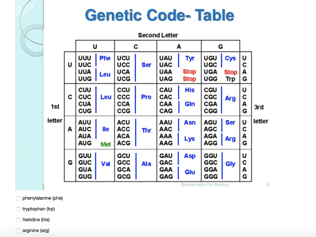 Solved Code Table Second Letter UUU Phe UCU UCC Ser