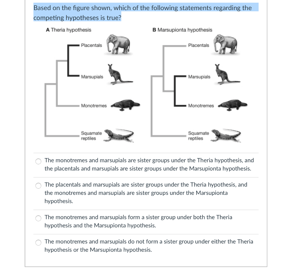Solved D Question 2 1 pts Why do evolutionary biologists say | Chegg.com