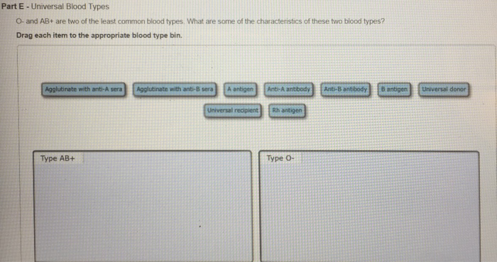Solved O- and AB+ are two of the least common blood types | Chegg.com