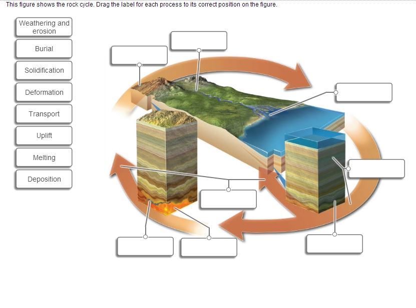 Solved This Figure Shows The Rock Cycle. Drag The Label For | Chegg.com