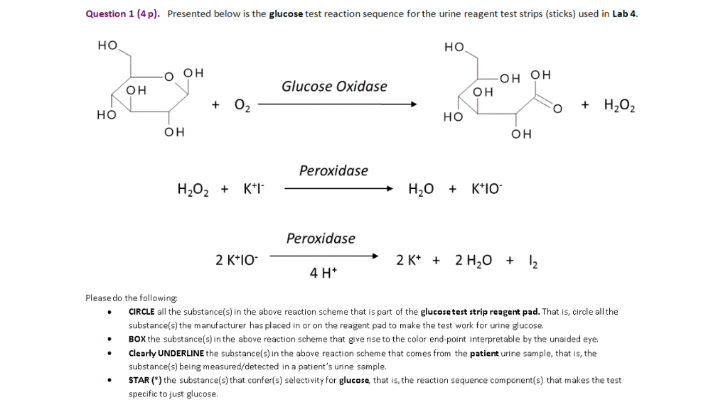 Solved Question 1 (4p). Presented below is the glucose test
