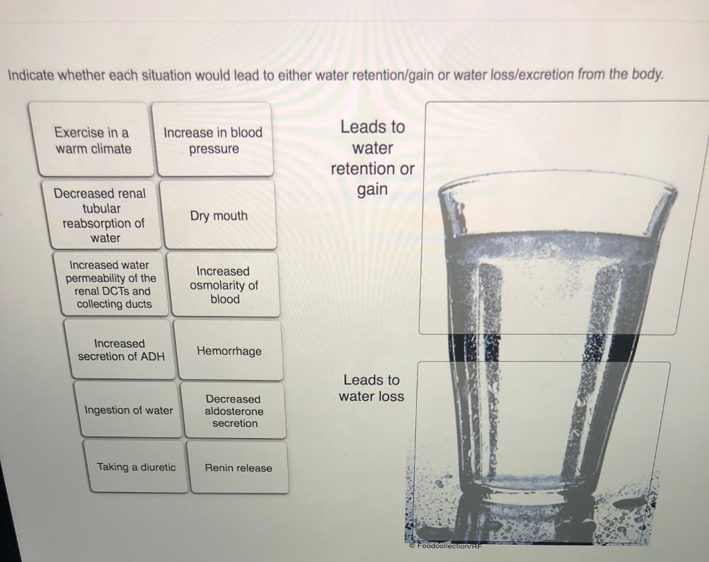 Solved Indicate whether each situation would lead to either
