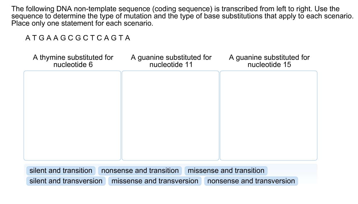 solved-the-following-dna-non-template-sequence-coding-chegg
