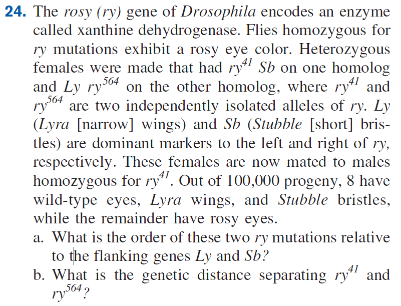 Solved 24. The rosy (ry) gene of Drosophila encodes an