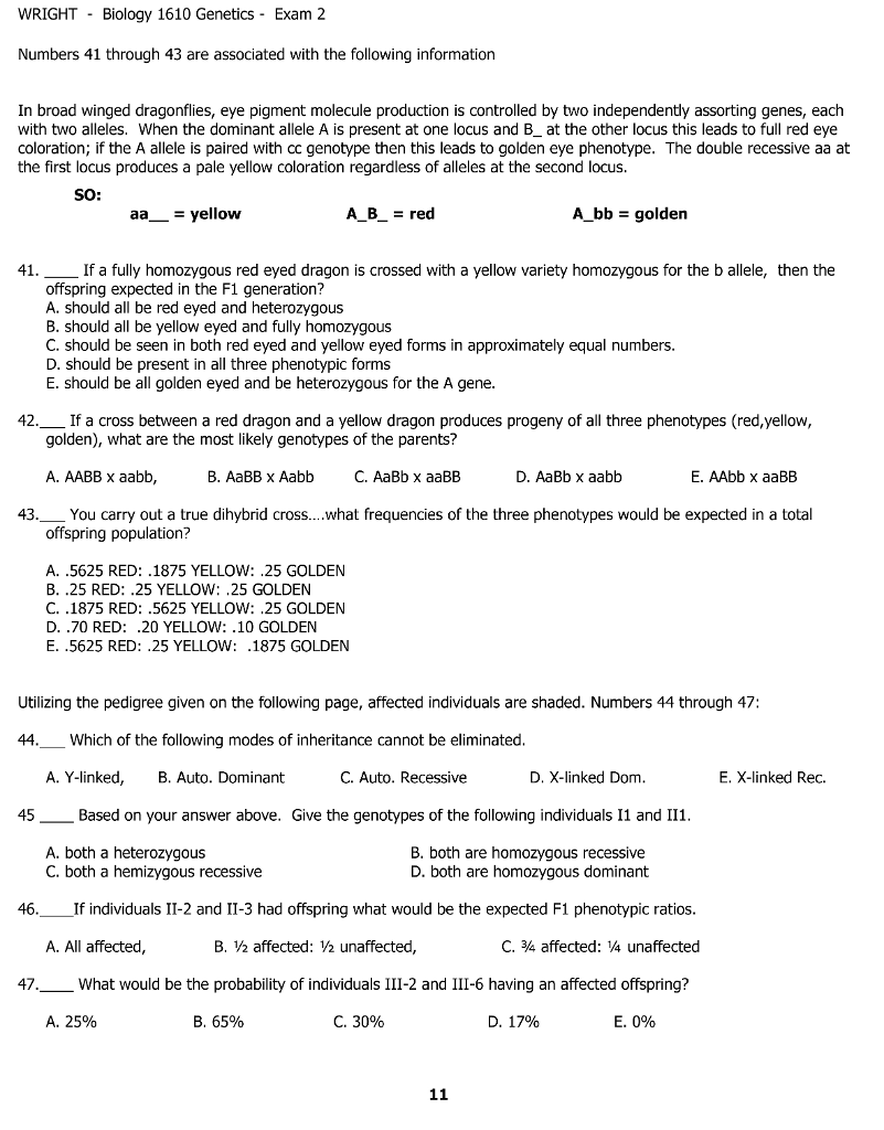 Solved: WRIGHT - Biology 1610 Genetics - Exam 2 Numbers 41... | Chegg.com