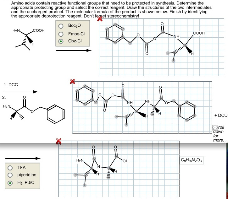 Solved Amino acids contain reactive functional groups that
