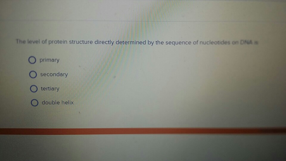 Solved The level of protein structure directly determined by | Chegg.com