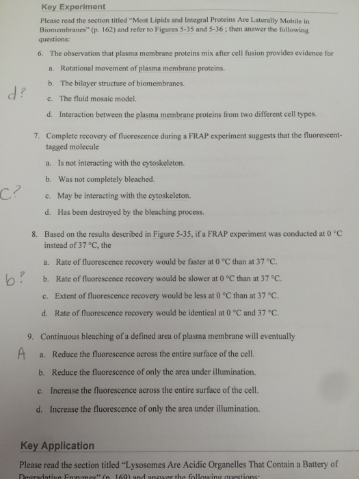 16 9 ___ choose the correct answers