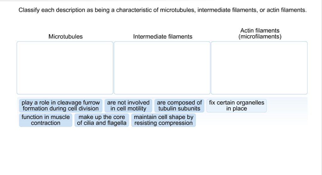 Solved Classify each description as being a characteristic | Chegg.com