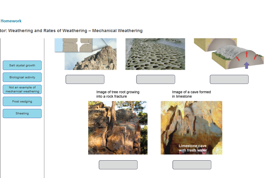 Solved Types of Mechanical Weathering There are four main