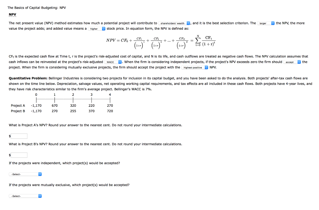 Solved The Basics of Capital Budgeting: NPV NPV The net | Chegg.com