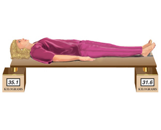 Solved A 164-cm-tall person lies on a light (massless) board | Chegg.com