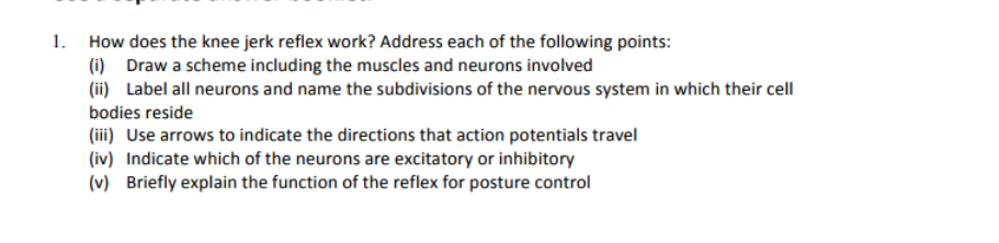 Solved 1. How does the knee jerk reflex work? Address each | Chegg.com