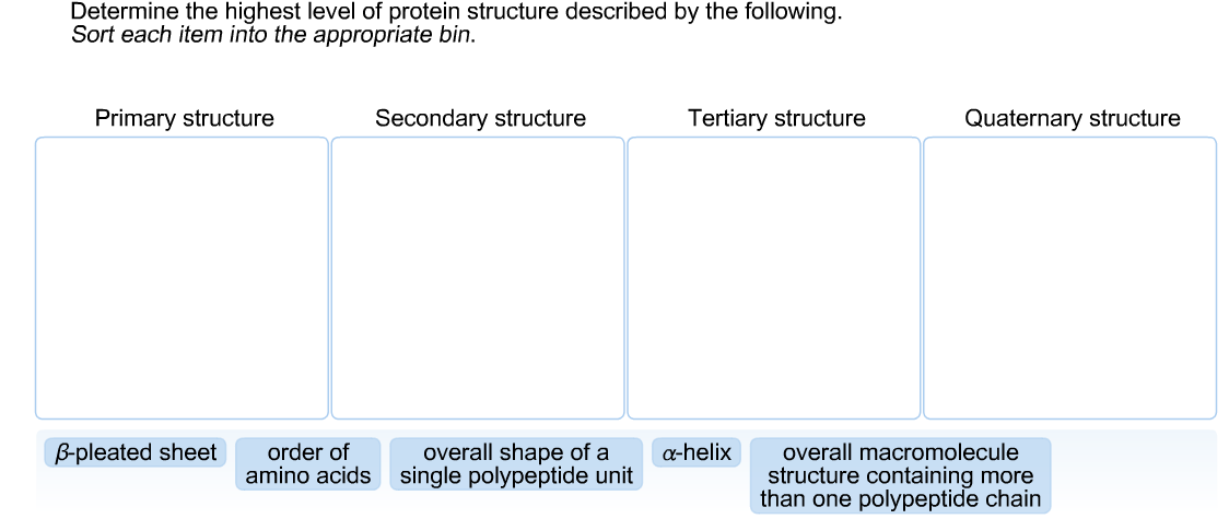 Solved Determine the highest level of protein structure | Chegg.com