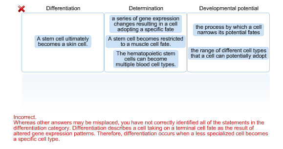 Solved Classify each definition and example as belonging | Chegg.com