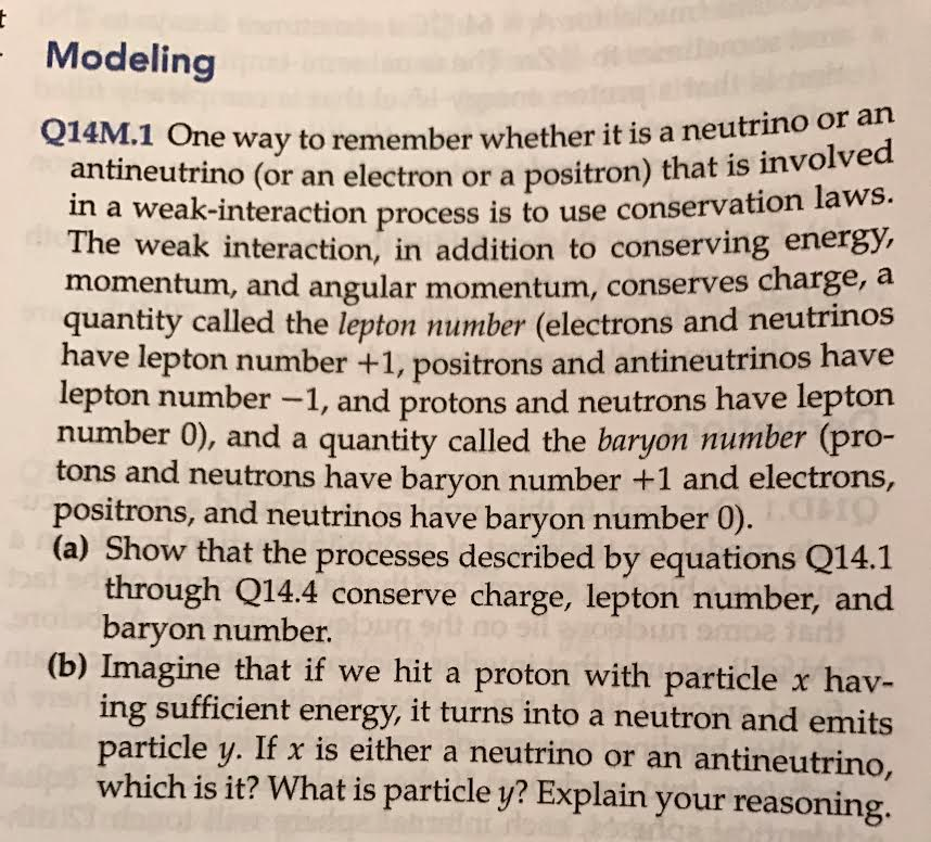 positron lepton number positron lepton number