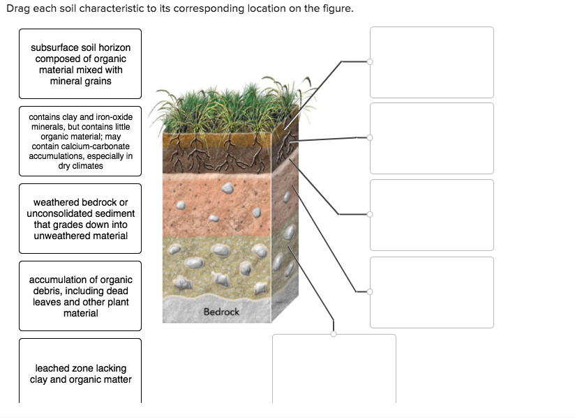 Solved Drag each soil characteristic to its corresponding | Chegg.com