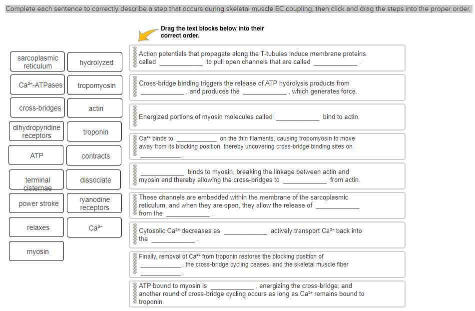 Solved Complete each sentence to correctly describe a step