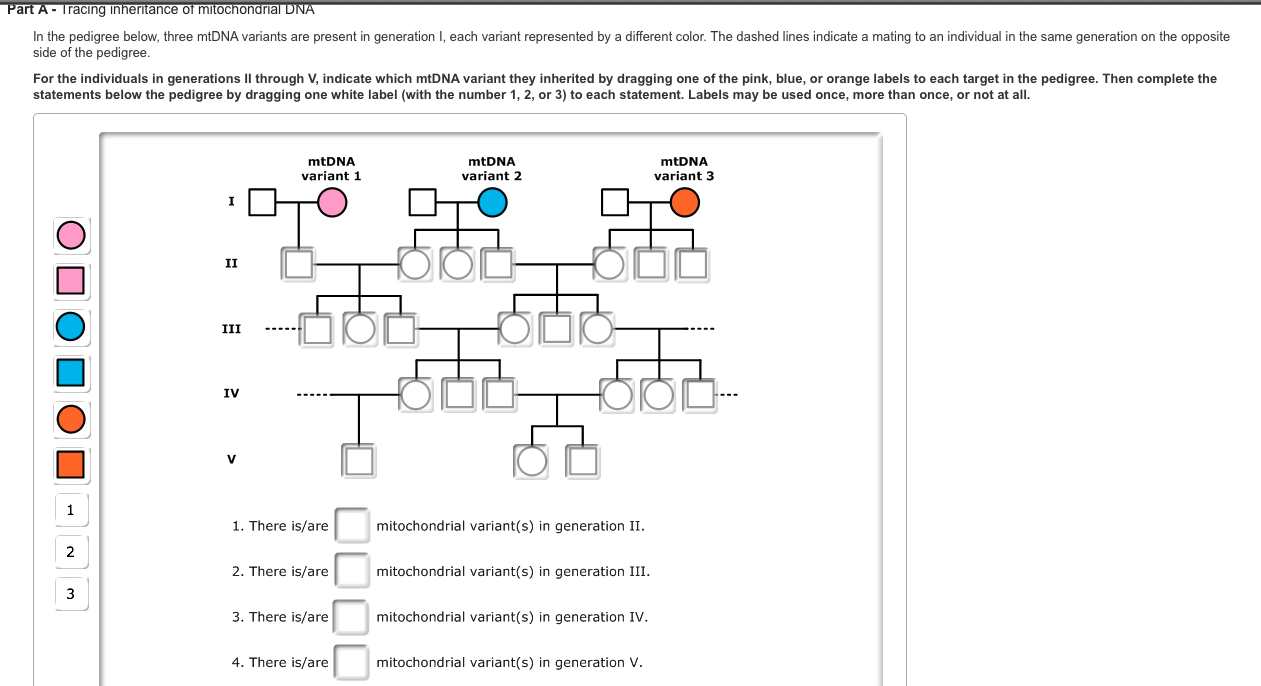 Solved In Humans, The X And Y Chromosomes Are Involved In | Chegg.com