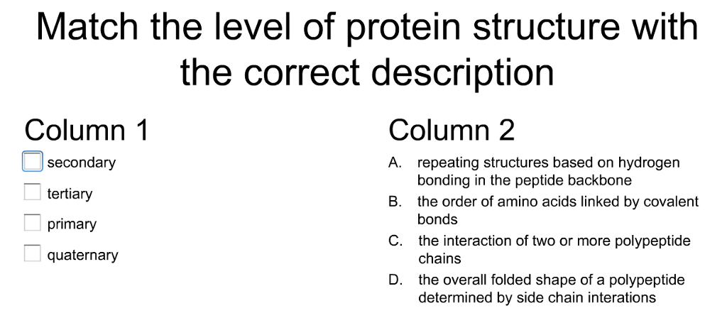 Solved Match The Level Of Protein Structure With The Correct | Chegg.com