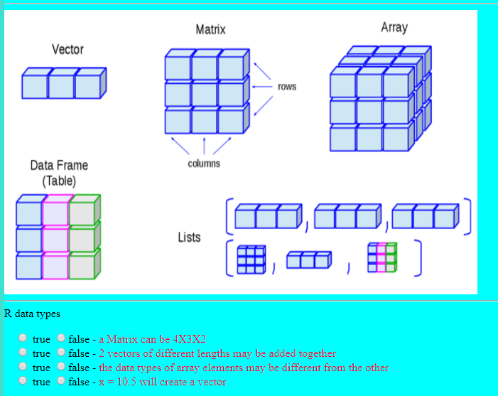 Solved Matrix Array Vector rows Data Frame Table) columns | Chegg.com