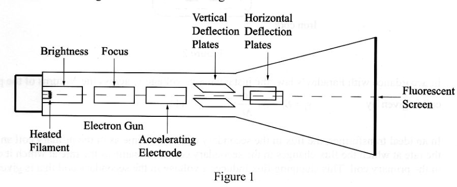 Solved Describe the function of the following components of | Chegg.com