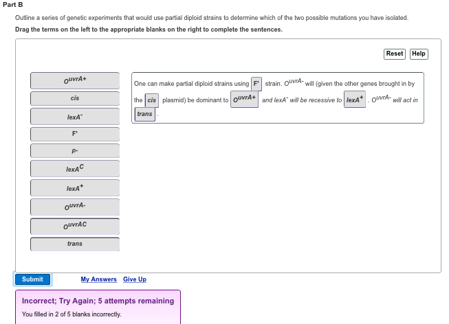 javascript array map Images High Quality Grahic Solved Outline a series of genetic experiments that would | Chegg.com