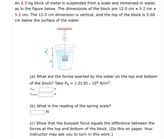 Solved An 8.9 kg block of metal is suspended from a scale | Chegg.com