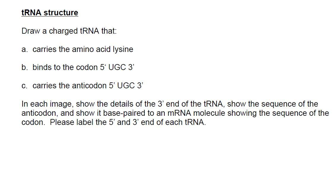 Solved tRNA structure Draw a charged tRNA that: a. carries | Chegg.com