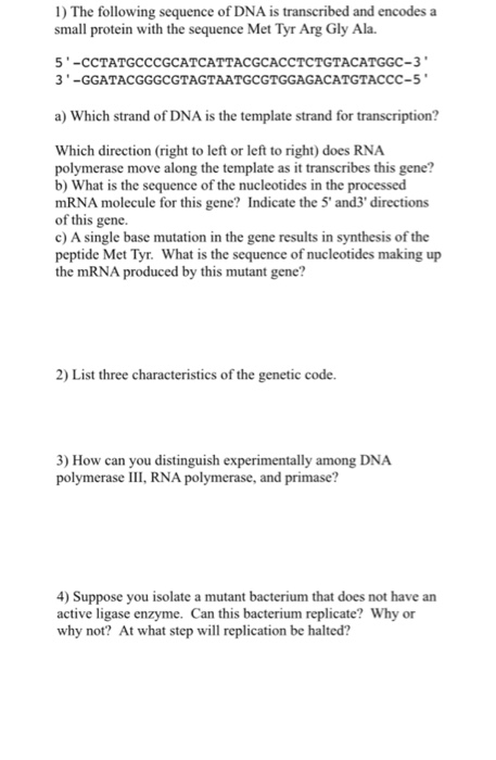 Solved The following sequence of DNA is transcribed and | Chegg.com