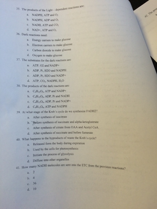 Help on homework please answers