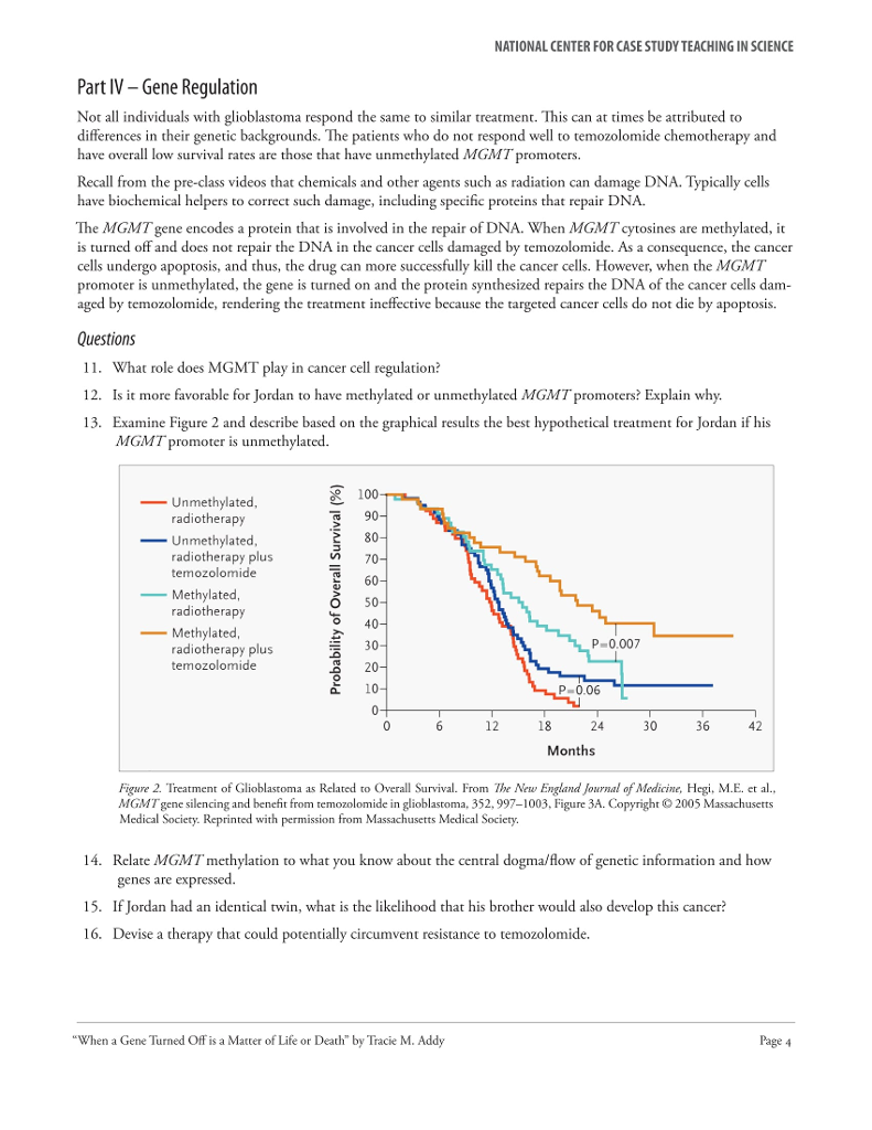 Buy scholarship essay guide