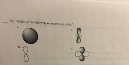 Solved 24. Which of the following represents a p orbital? | Chegg.com