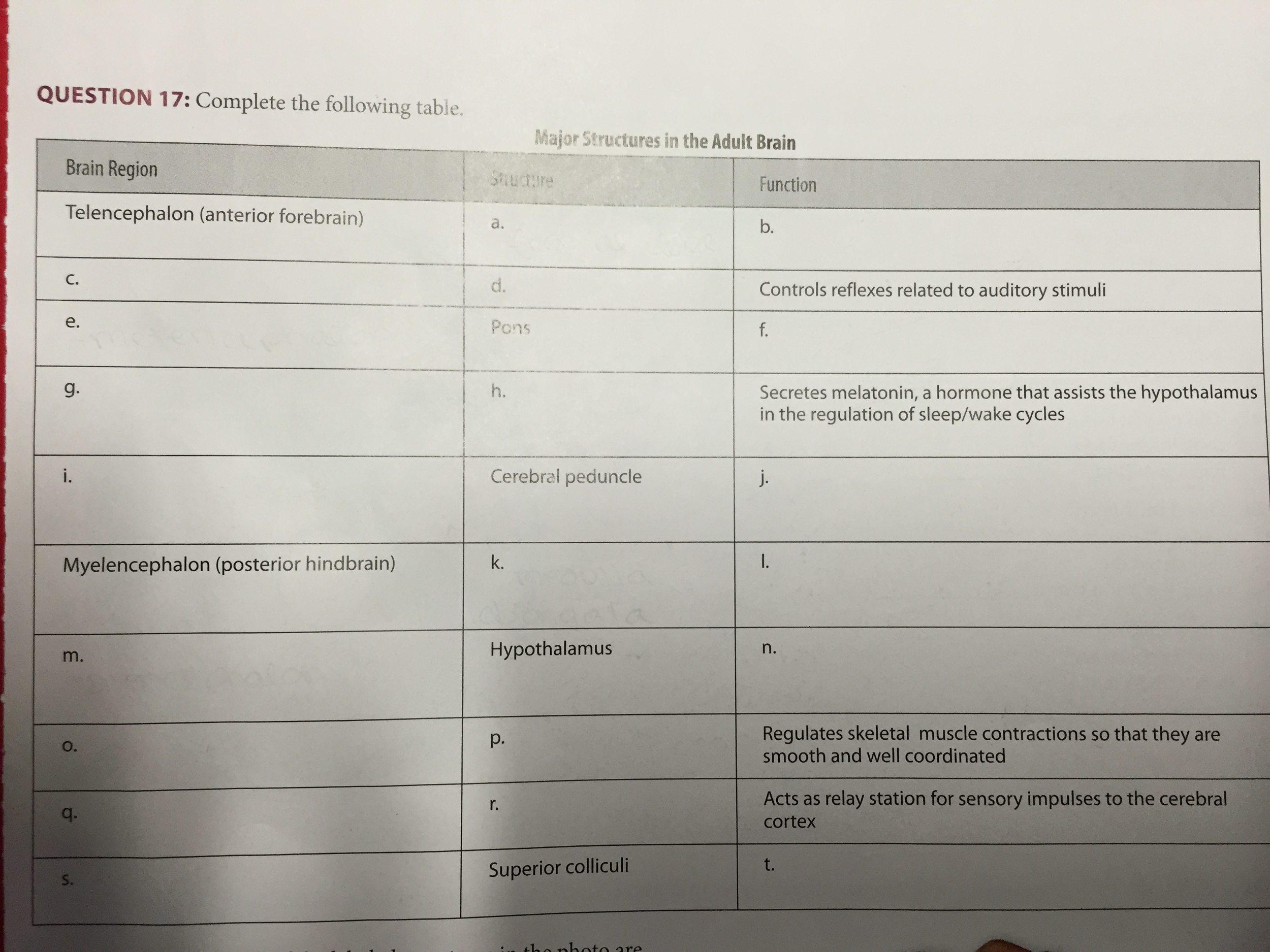 Brain Structure Function Chart Ponasa Brain Structure Function Chart Ponasa