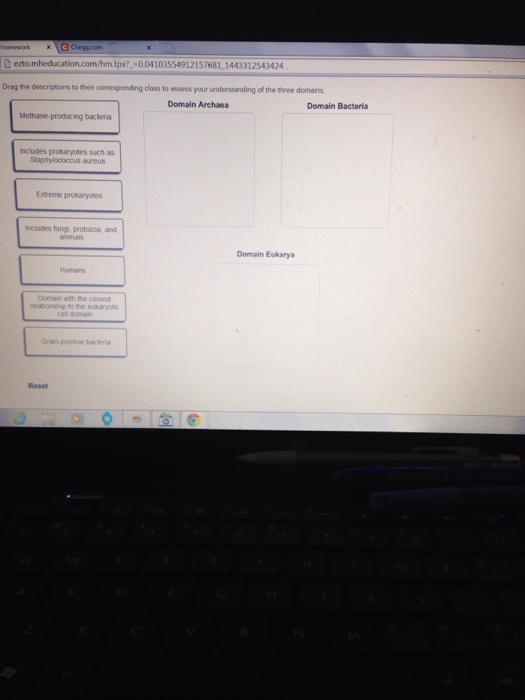 Solved drag the descriptions to their corresponding class to