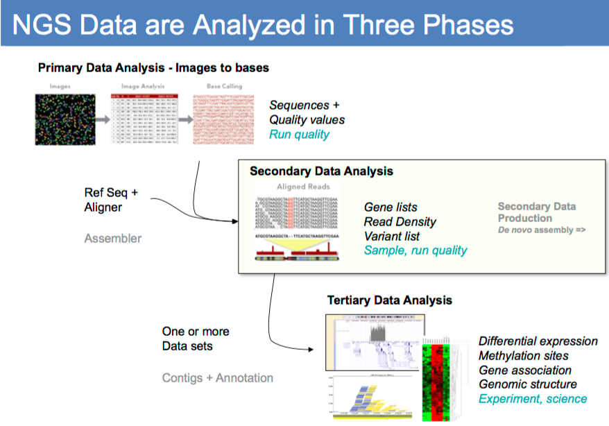 Solved Please Explain How NGS next Generation Sequencing Chegg