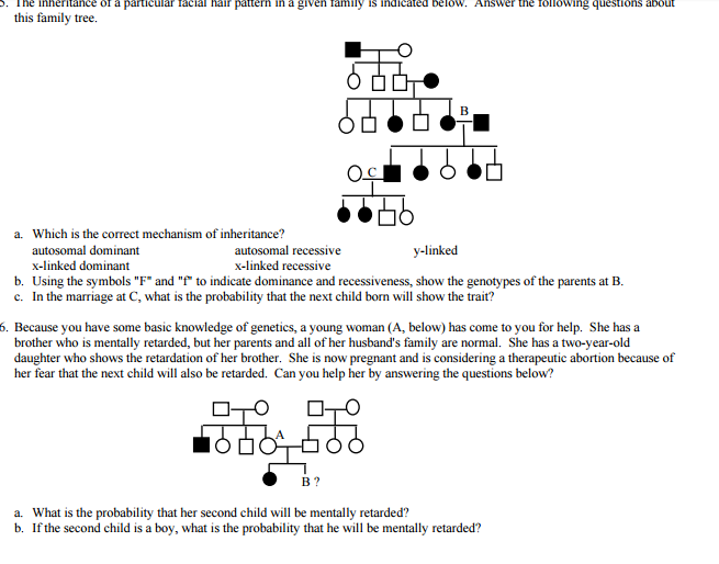 Solved The inheritance or a particular racial hair pattern | Chegg.com