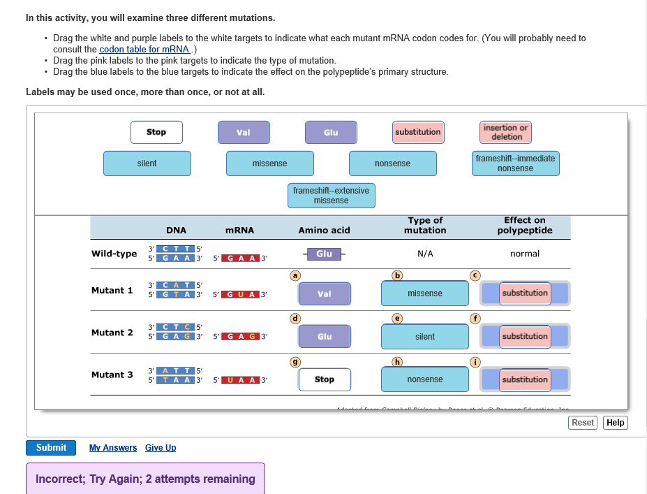 Solved In this activity, you will examine three different