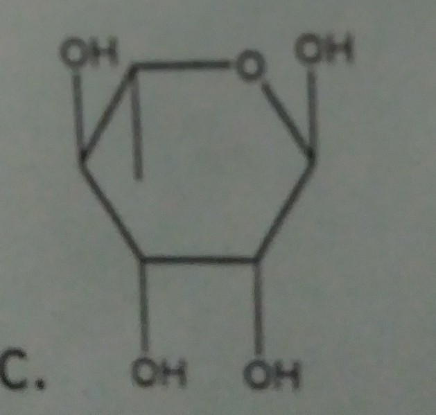 Solved heir open form (Fischer projection), rhamnose | Chegg.com
