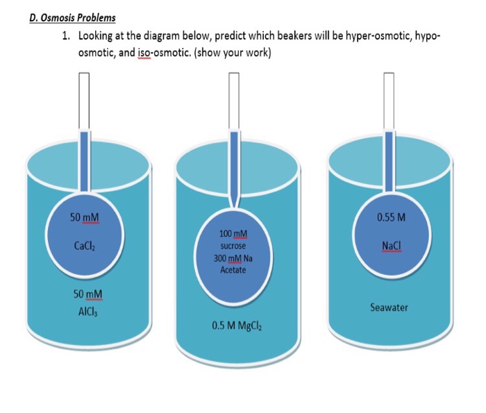 Solved Looking at the diagram below predict which beakers Chegg com