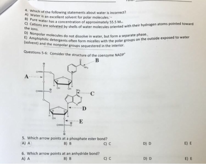 Solved Which of the following statements about water is