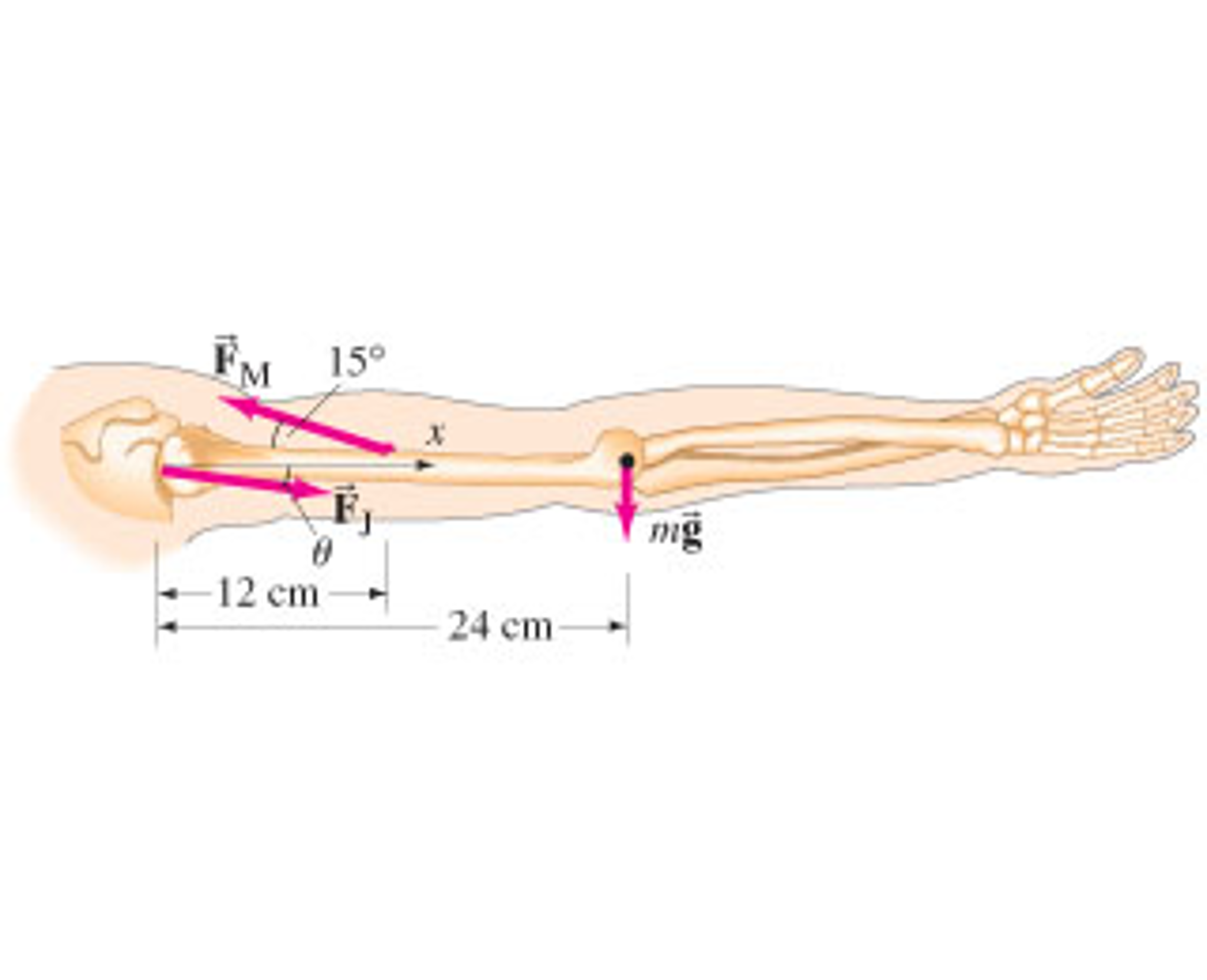 Solved The total mass of the arm shown in (Figure 1) is 3.0