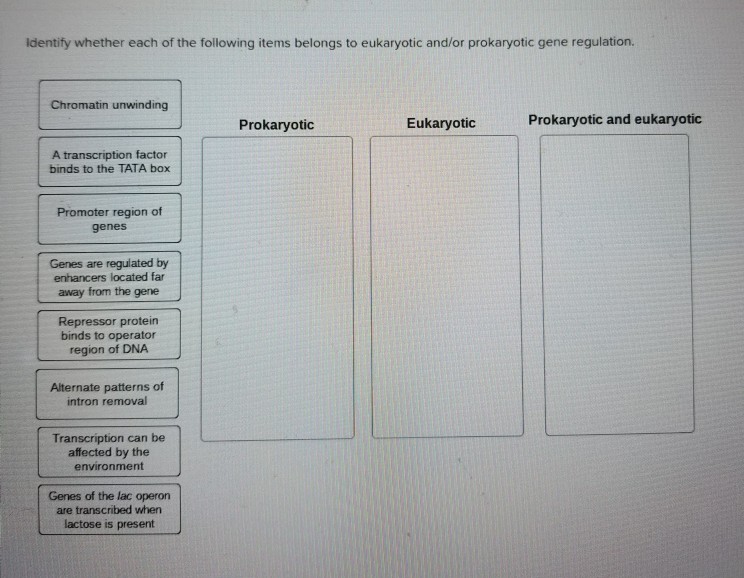 Solved Identify Whether Each Of The Following Items Belongs | Chegg.com