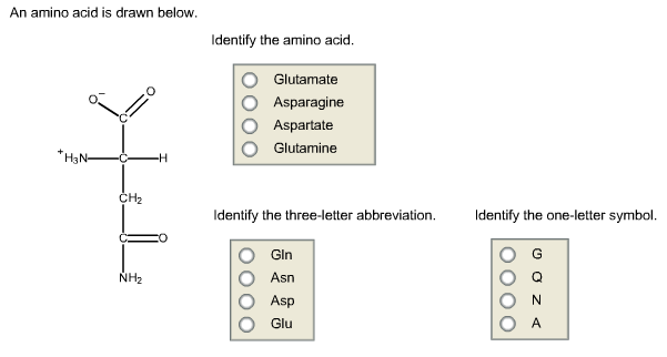 Solved An amino acid is drawn below Identify the amino acid. | Chegg.com