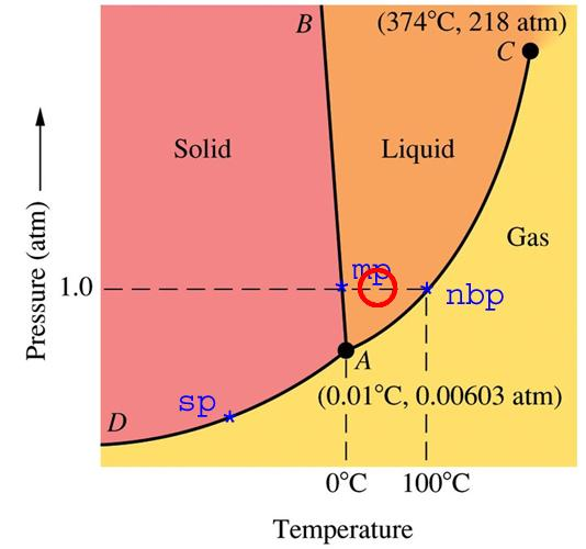 Solved By looking at the Phase Diagram of Water | Chegg.com