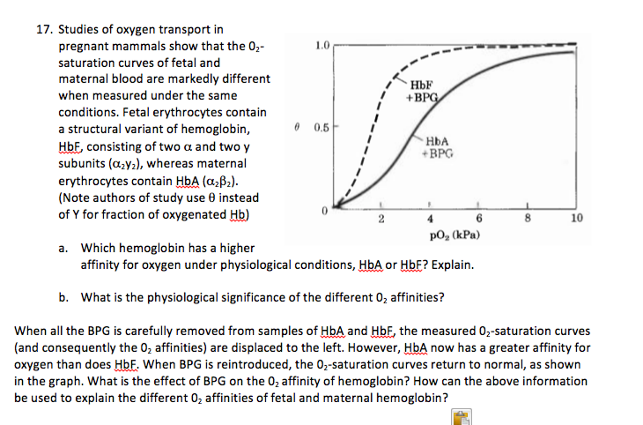 Studies of oxygen transport in pregnant mammals show