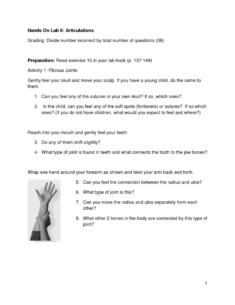 Solved Hands On Lab 6: Articulations Grading: Divide number | Chegg.com